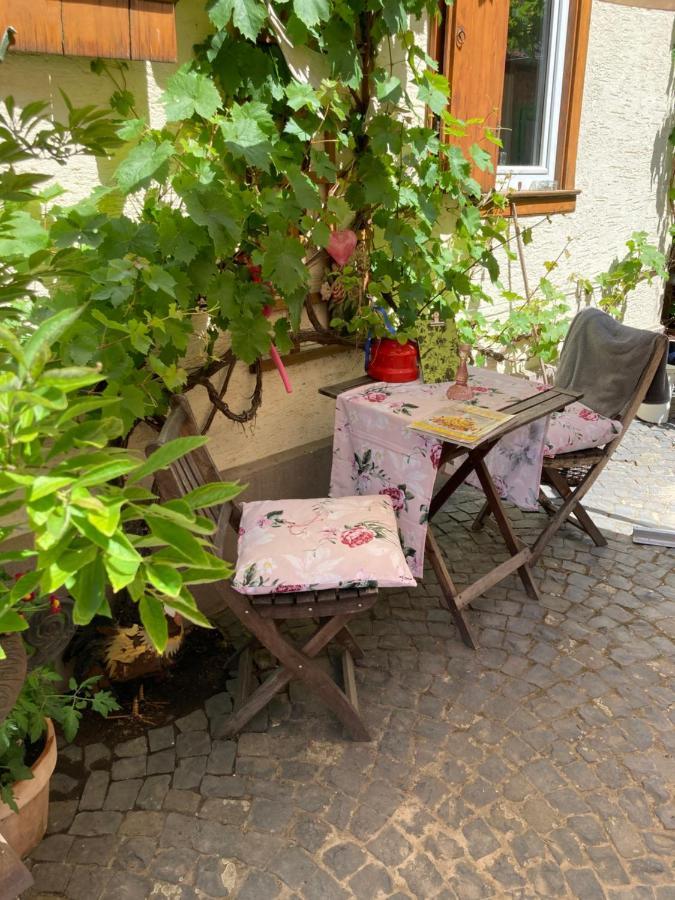 Tante Berg B&B Bad Vilbel Exteriér fotografie