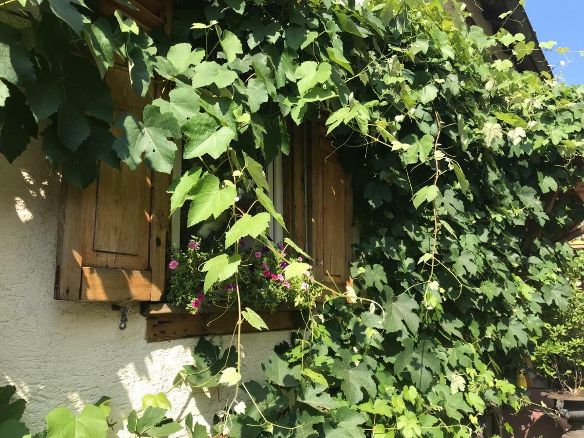 Tante Berg B&B Bad Vilbel Exteriér fotografie